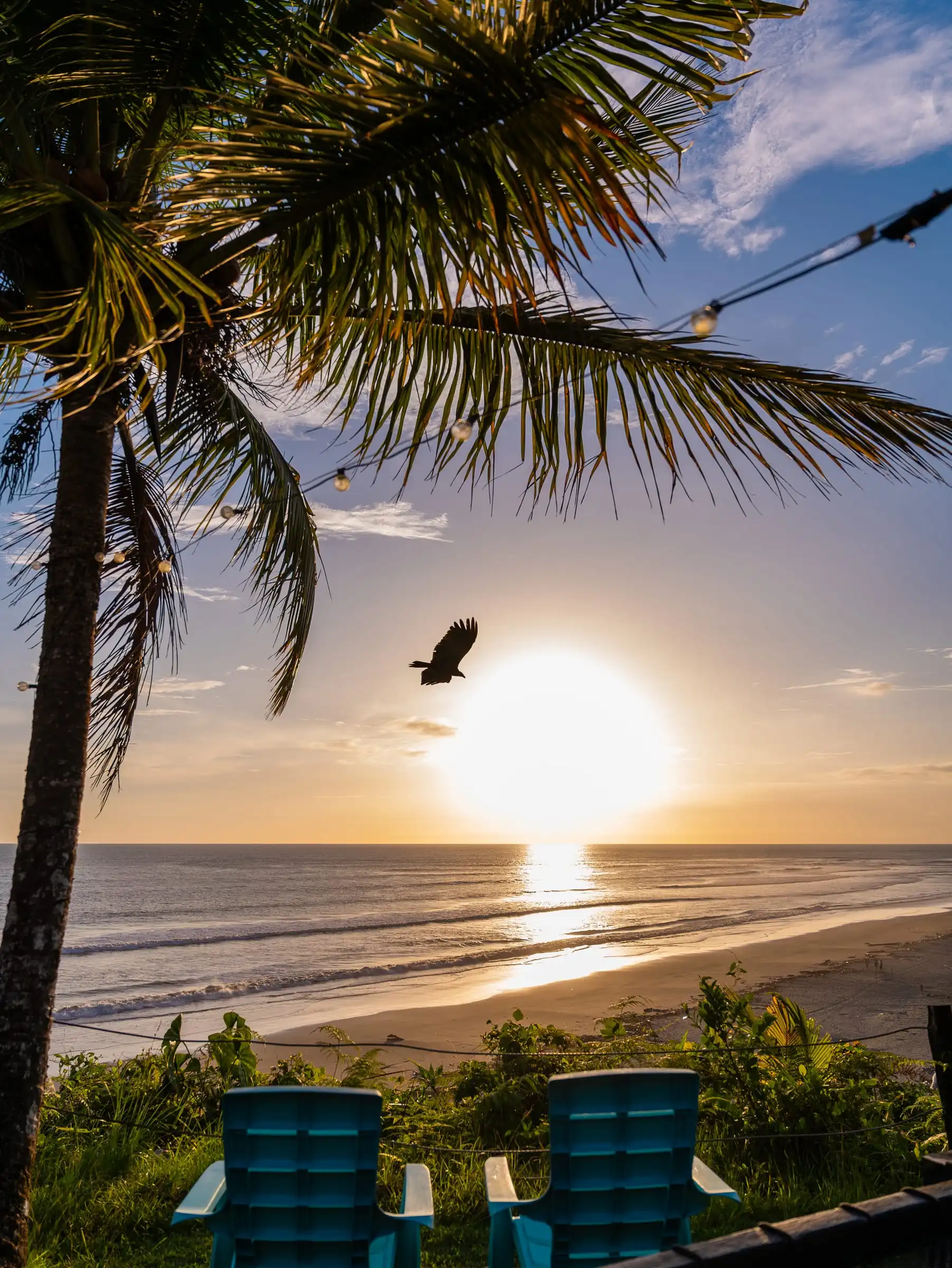 Atardecer sobre el mar Pacífico desde Casa Azul: el sol cayendo al agua entre palmeras y un ave cruzando el cielo