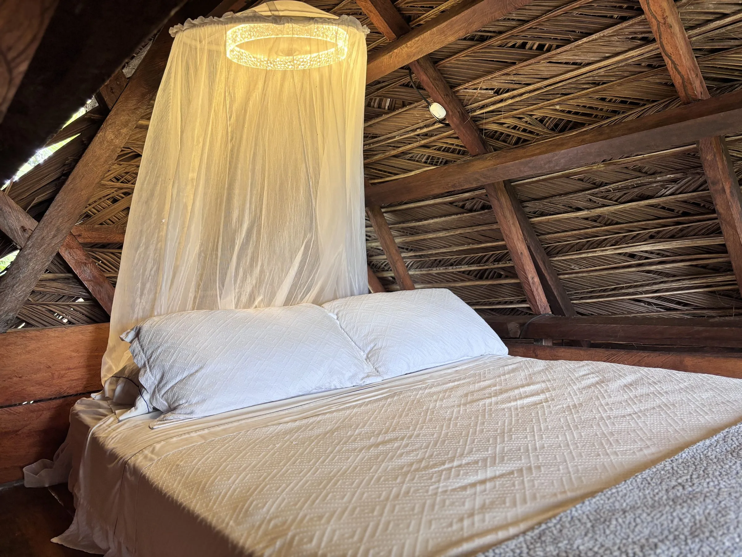 Cama con mosquitero iluminado bajo el techo de palma en el Bungalow Mini 3