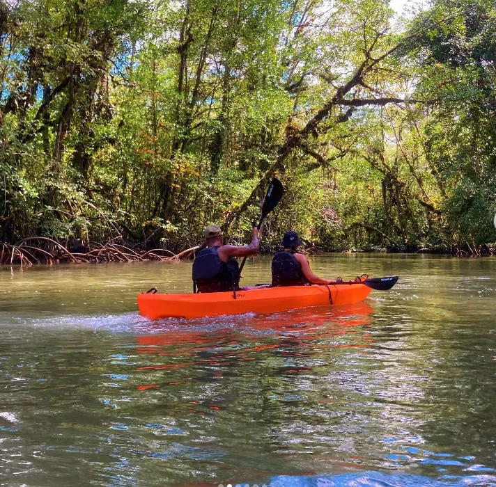 Kayak por los Manglares