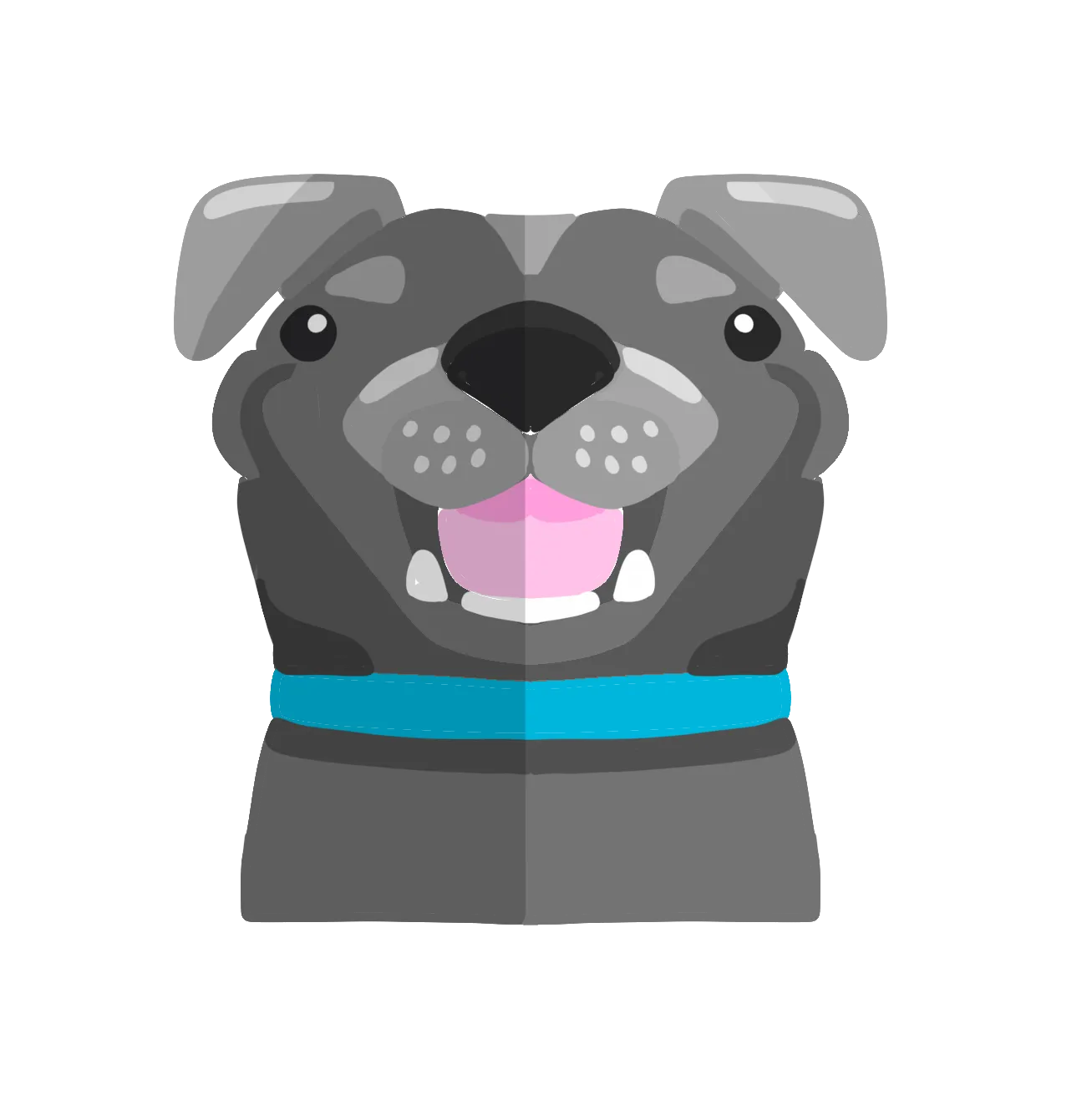 Ilustración de Melo, del pet-staff de Casa Azul
